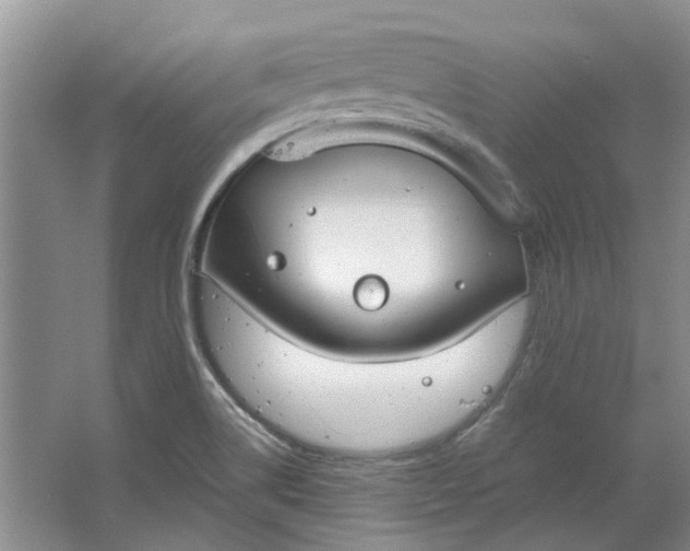 X0000064731514200602241658