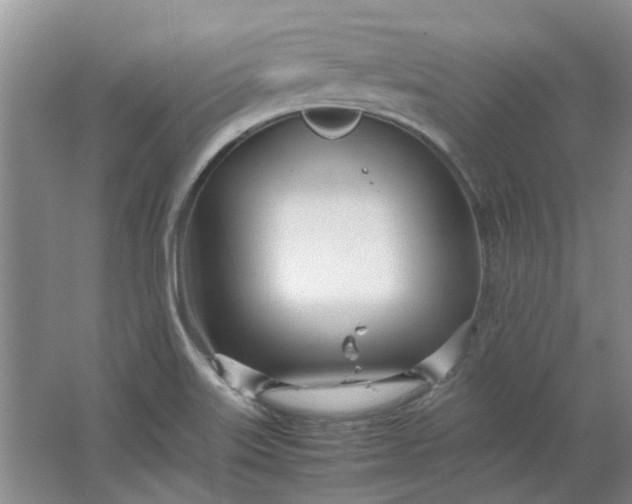 X0000064731515200602241658