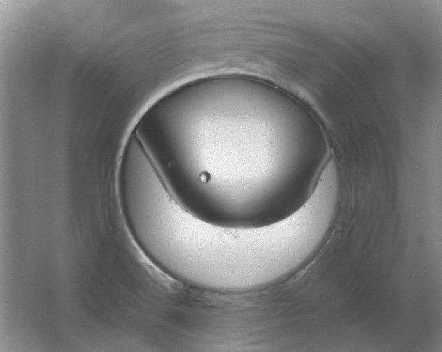 X0000064731516200602241658