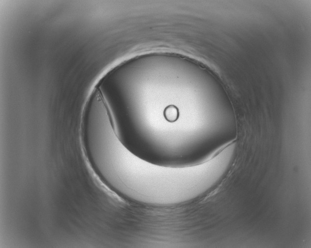 X0000064731518200602241658