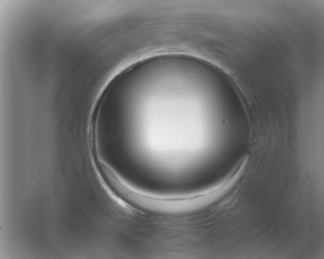 X0000064731519200602241658