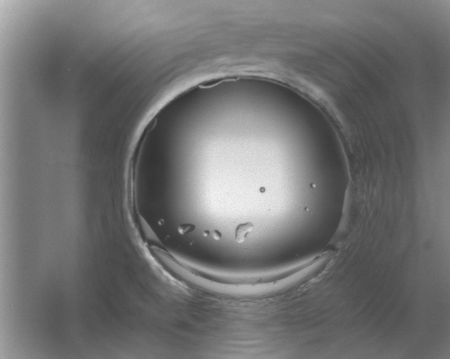 X0000064731520200602241658