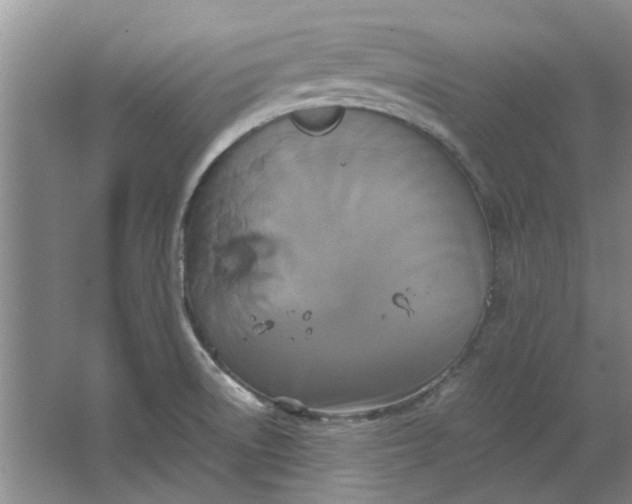 X0000064731522200602241658