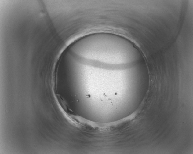 X0000064731523200602241658