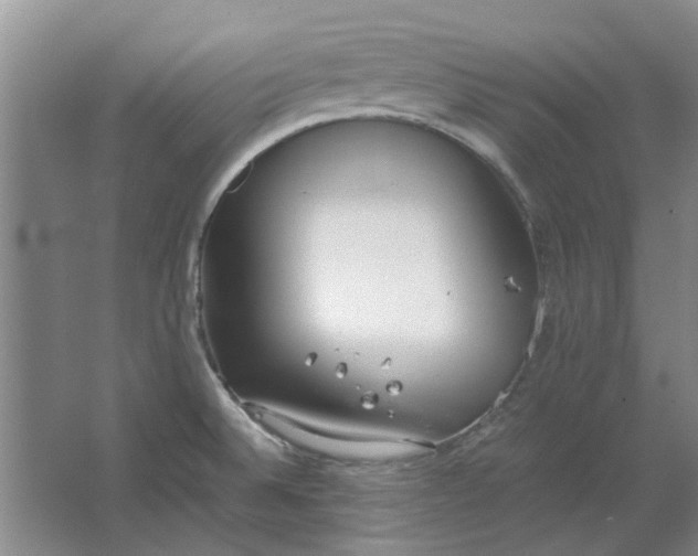 X0000064731524200602241658