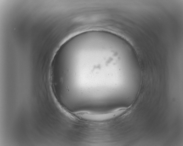 X0000064731526200602241658