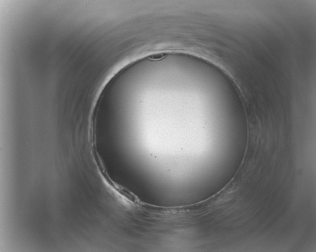 X0000064731527200602241658