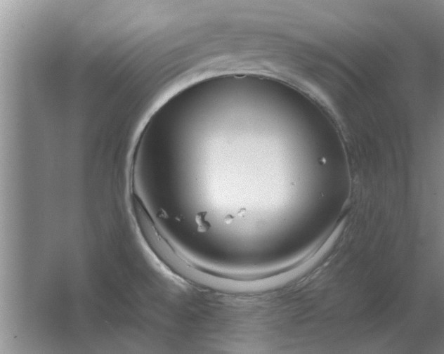 X0000064731528200602241658