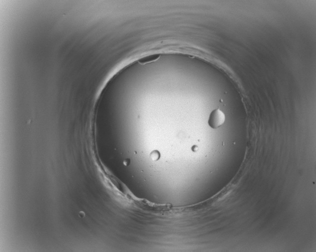 X0000064731530200602241658