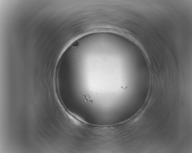 X0000064731533200602241658