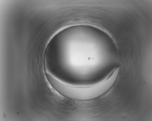 X0000064731534200602241658