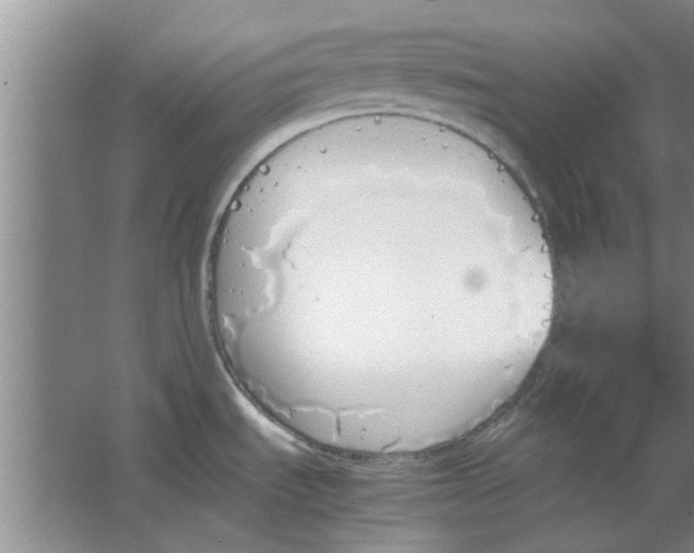 X0000064731535200602241658