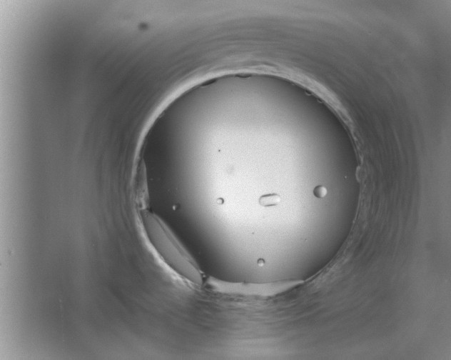 X0000064731536200602241658