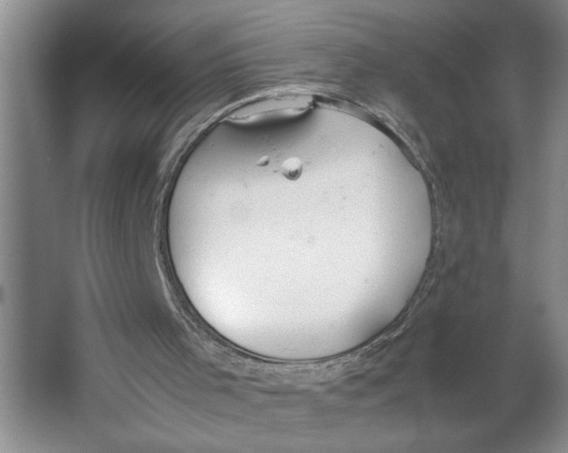 X0000064730001200603031653