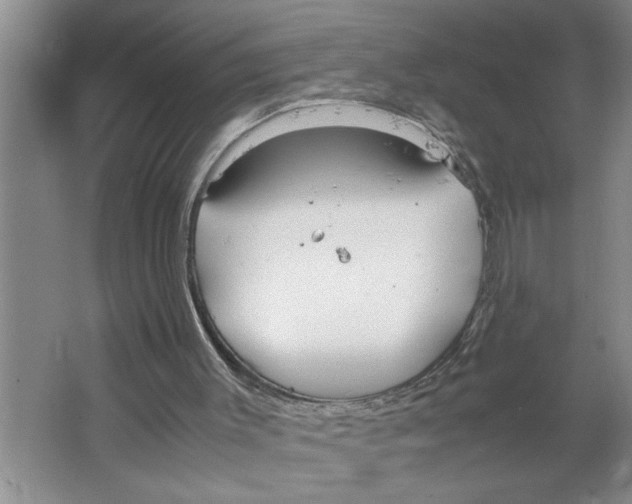 X0000064730003200603031653