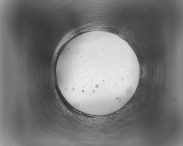 X0000064730004200603031653