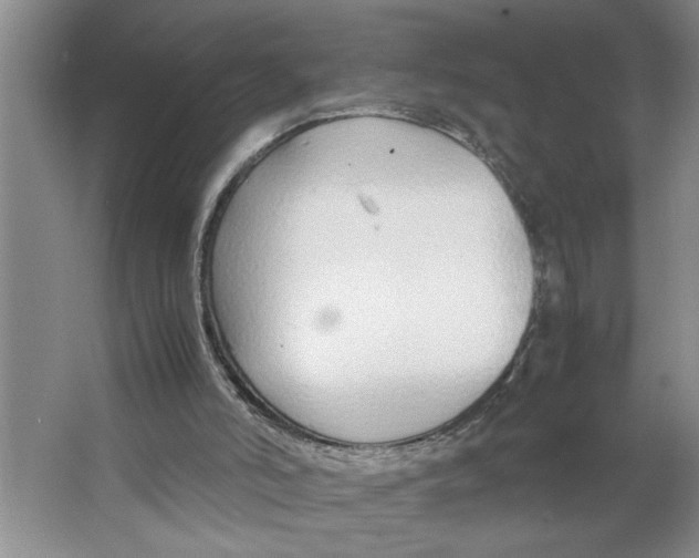 X0000064730006200603031653