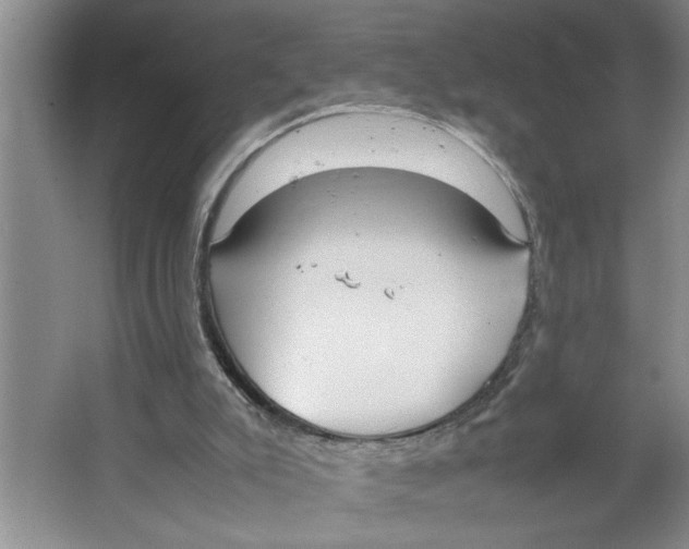 X0000064730007200603031653