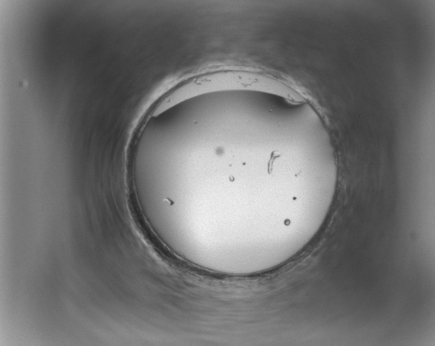 X0000064730008200603031653