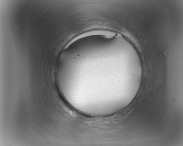 X0000064730009200603031653