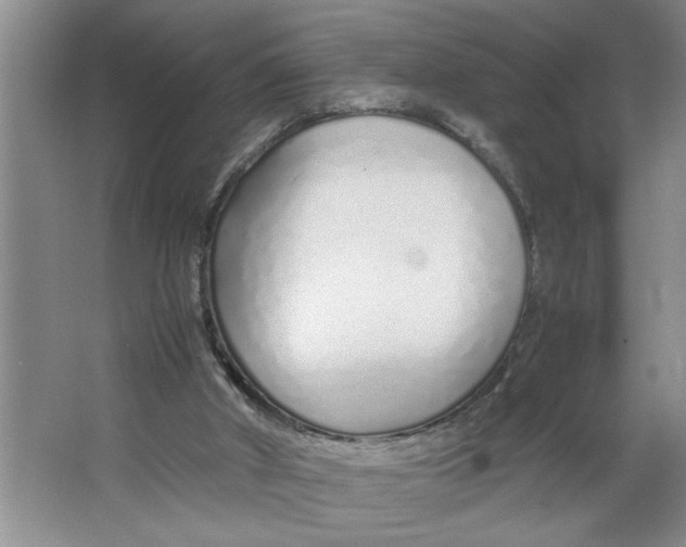 X0000064730010200603031653