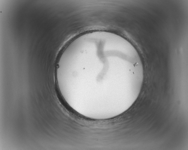 X0000064730011200603031653