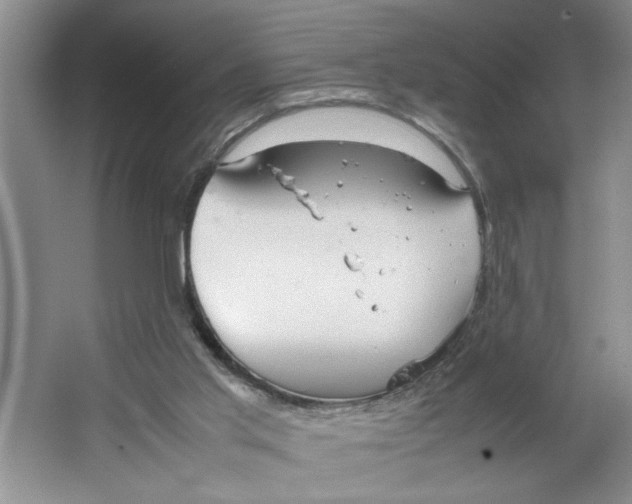 X0000064730013200603031653