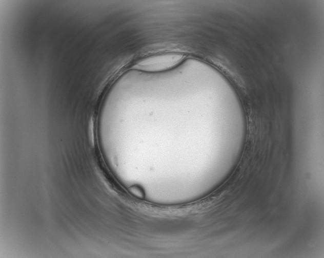 X0000064730014200603031653