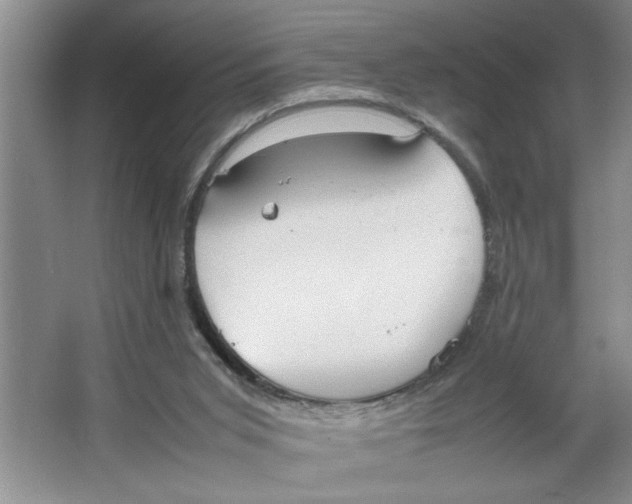 X0000064730015200603031653