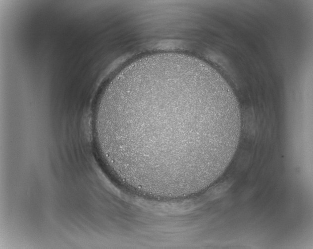 X0000064730016200603031653