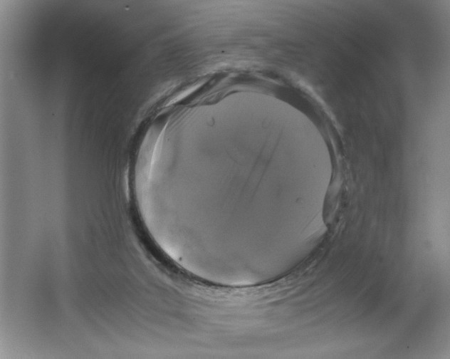 X0000064730019200603031653