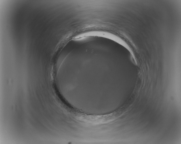 X0000064730023200603031653