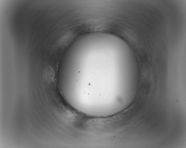 X0000064730025200603031653