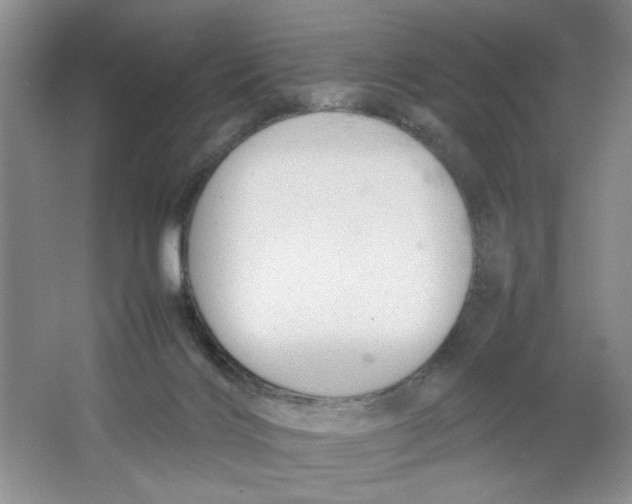 X0000064730028200603031653