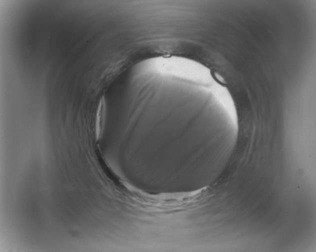 X0000064730031200603031653