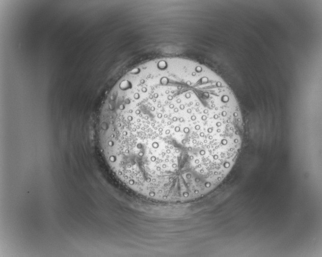 X0000064730032200603031653