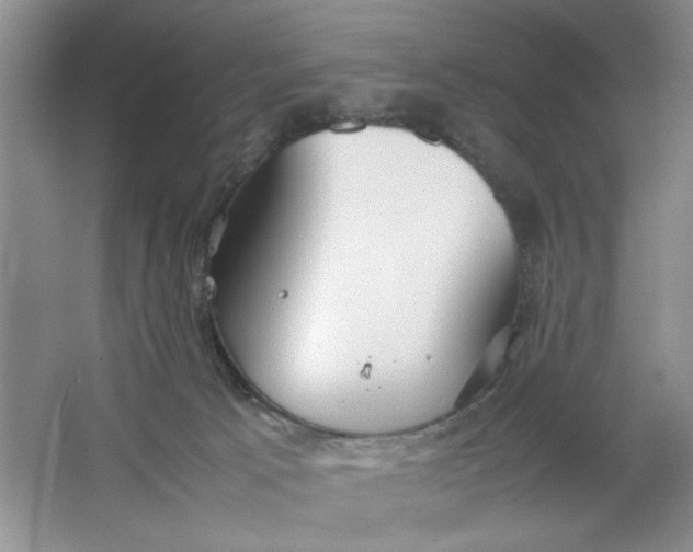 X0000064730033200603031653