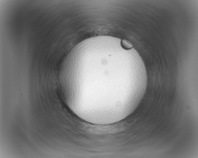 X0000064730034200603031653