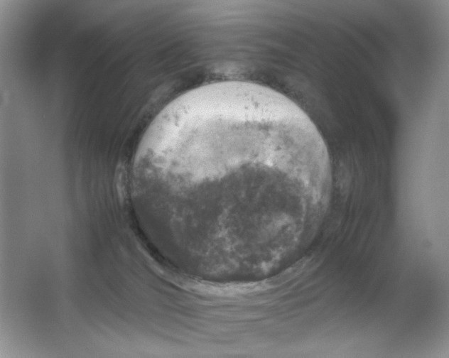 X0000064730036200603031653