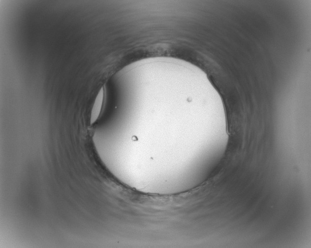 X0000064730037200603031653