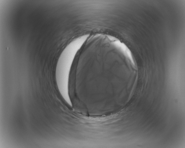 X0000064730039200603031653