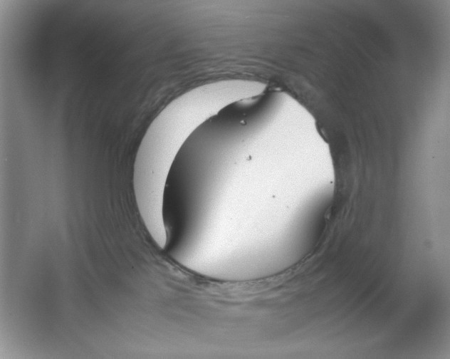 X0000064730041200603031653