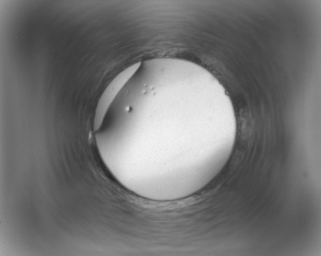 X0000064730042200603031653