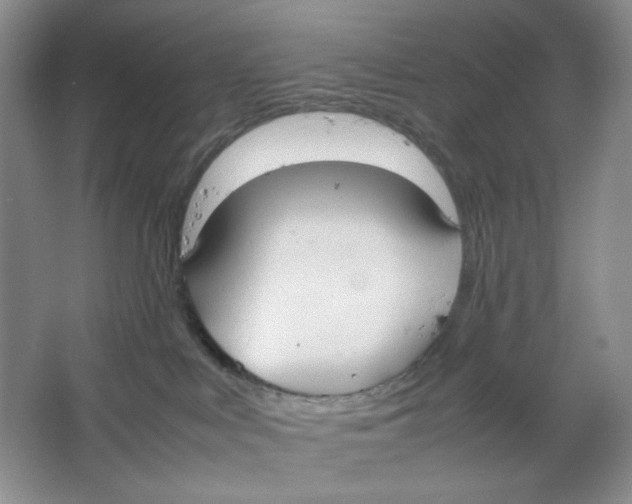 X0000064730043200603031653