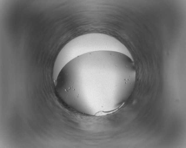 X0000064730044200603031653