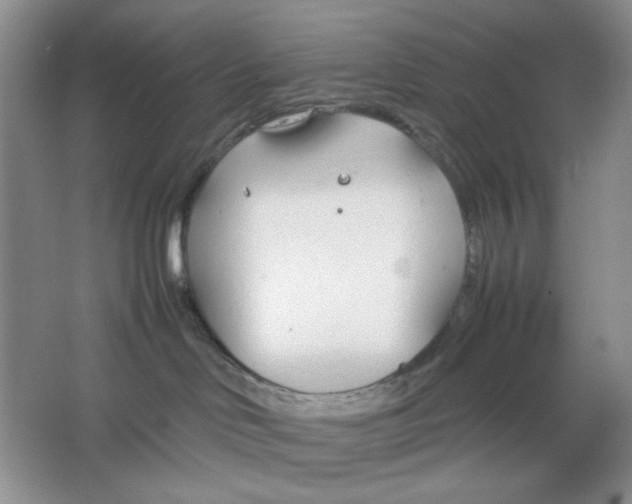 X0000064730046200603031653