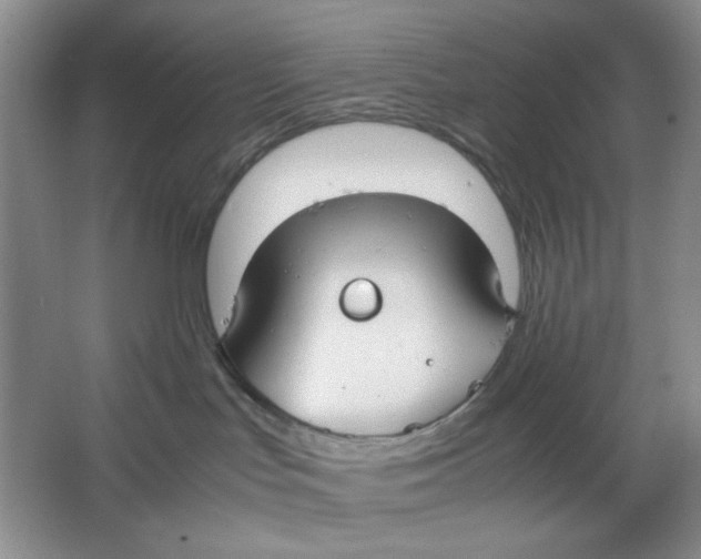 X0000064730047200603031653