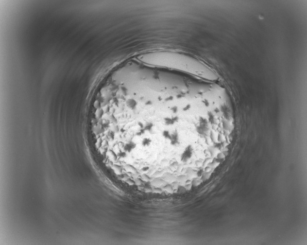 X0000064730049200603031652