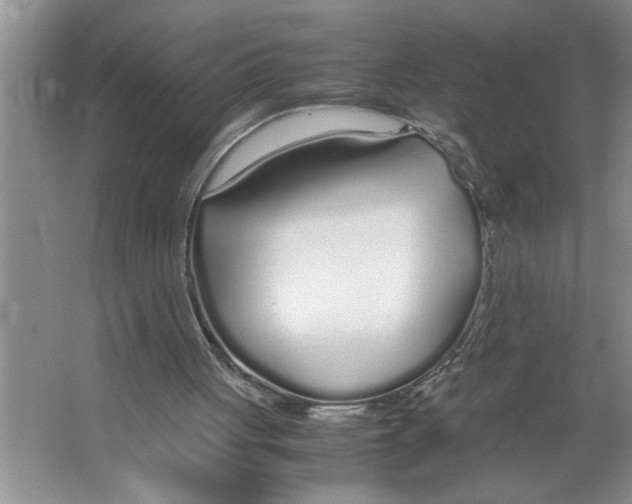 X0000064730051200603031652