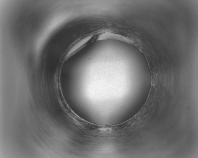 X0000064730052200603031652